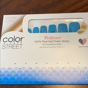 Color Street How Swede It Is